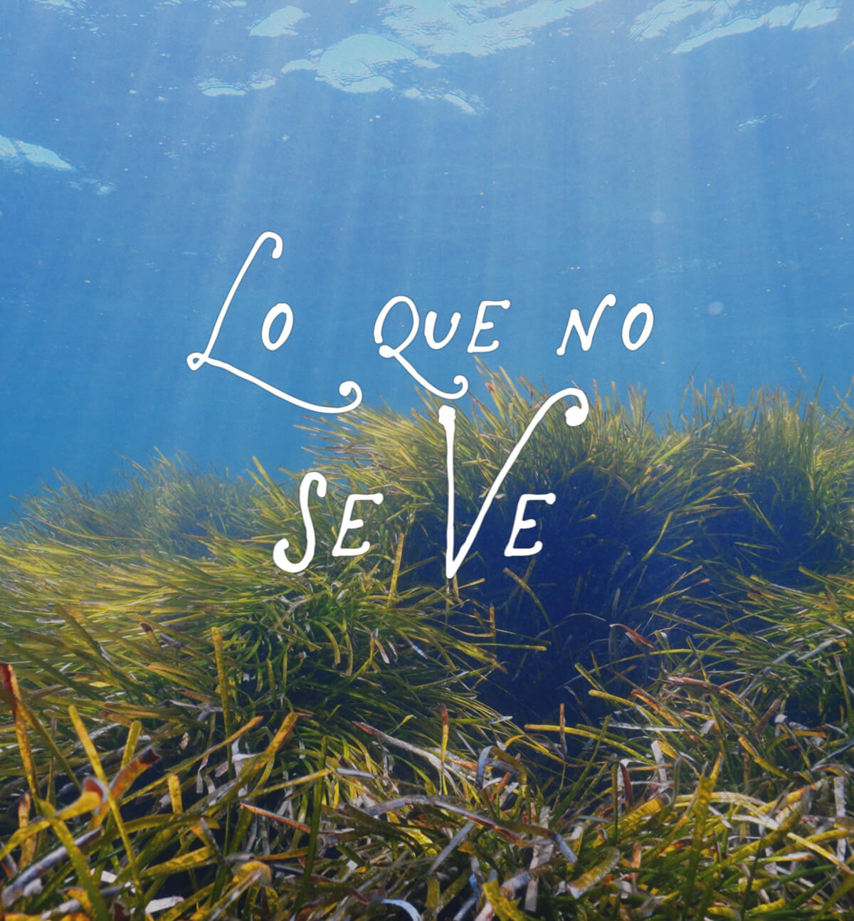 Lo que no se ve