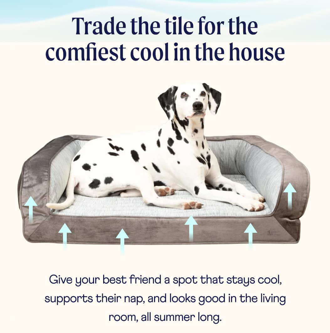 Trade the tile for the comfiest cool in the house  | Give your best friend a spot that stays cool, supports their nap, and looks good in the living room, all summer long.
