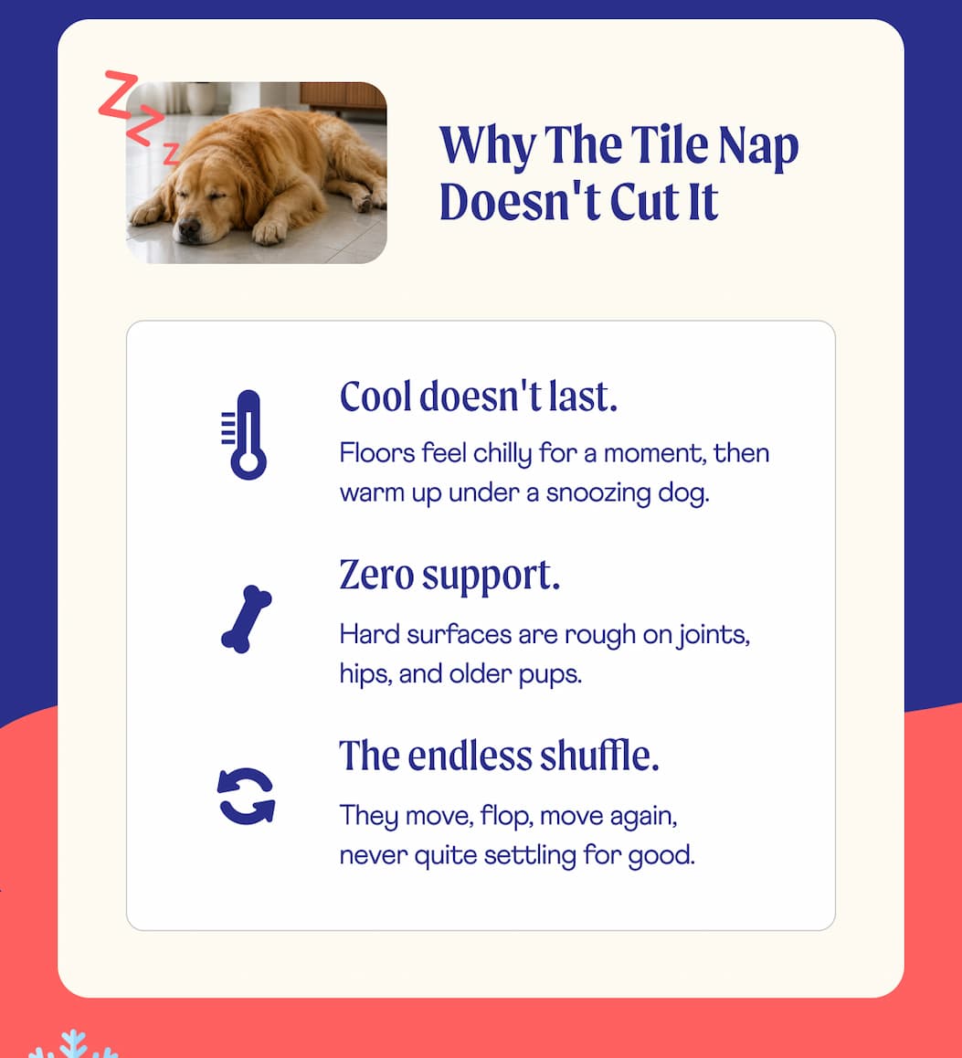 Why The Tile Nap Doesn't Cut It ❄️  | 🌡️ Cool doesn't last. Floors feel chilly for a moment, then warm up under a snoozing dog. 🦴 Zero support. Hard surfaces are rough on joints, hips, and older pups. 🔁 The endless shuffle. They move, flop, move again, never quite settling for good.