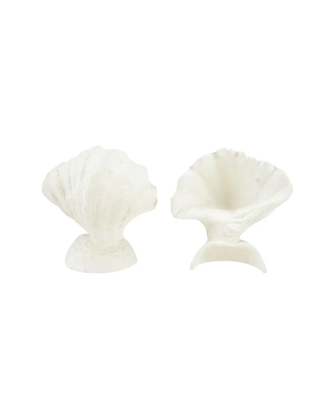 Image of Ivory Shell Bookends