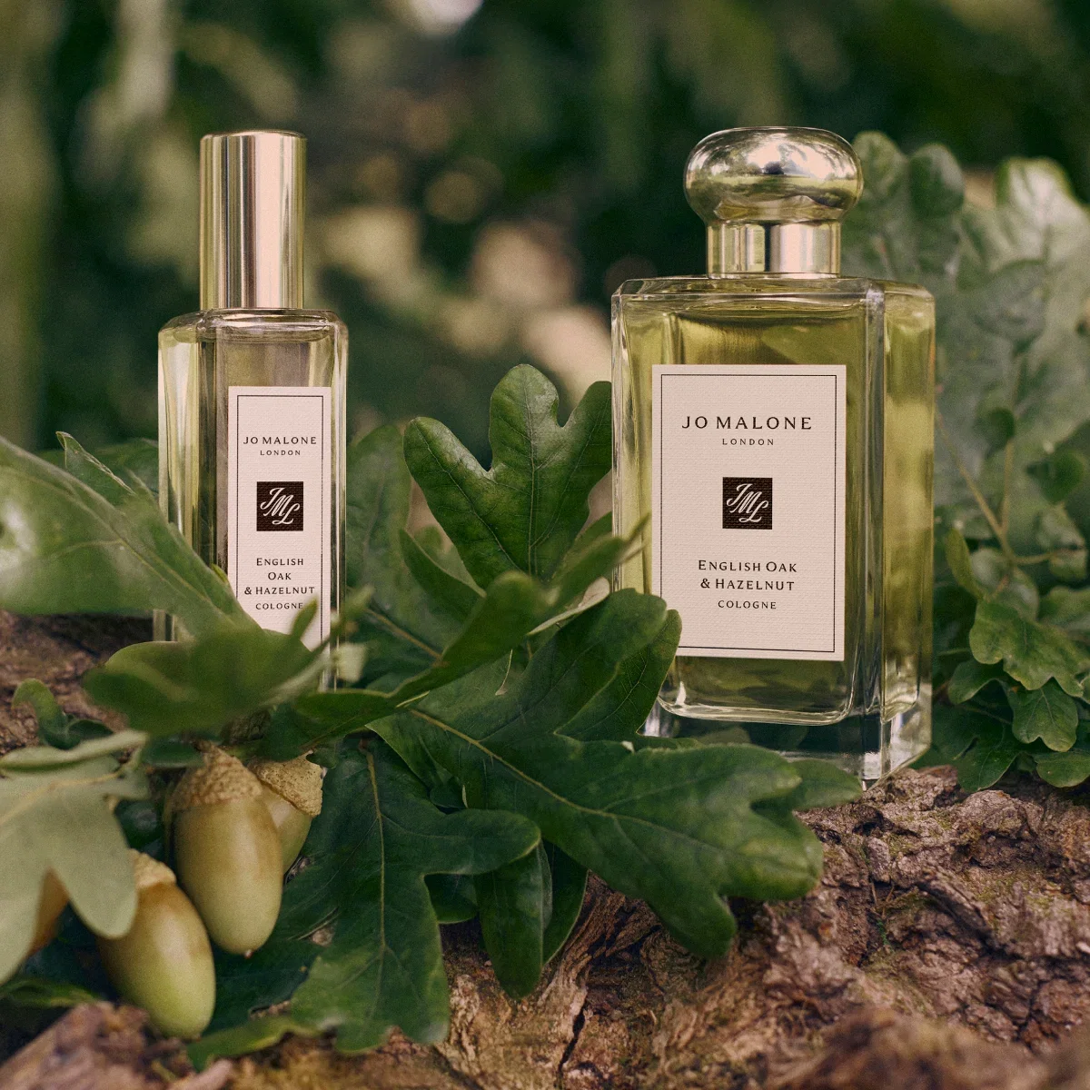 JO MALONE LONDON | English Oak & Hazelnut | Cologne