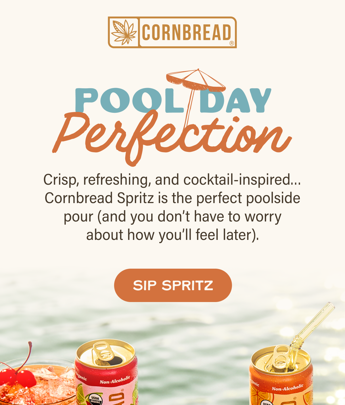 Pool Day Perfection
