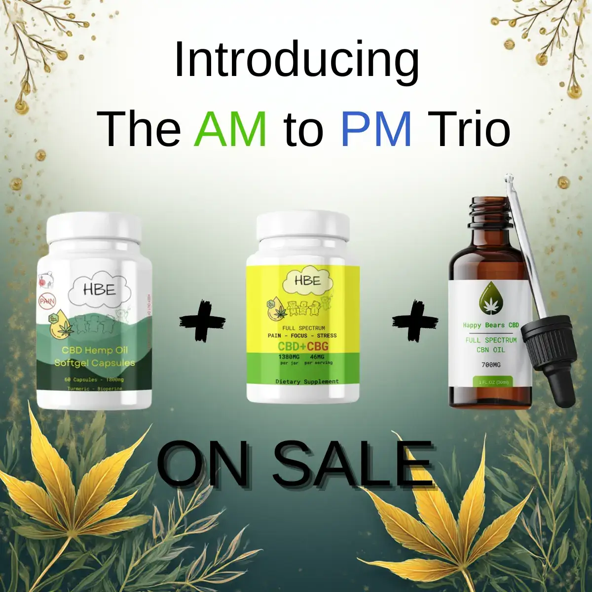 AM to PM Trio Bundle