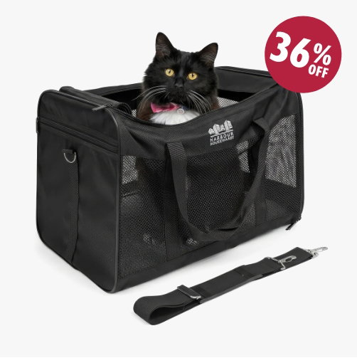 Foldable Cat Carrier - Large - Black