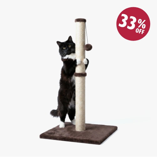 Cat Scratching Post with Hanging Ball - 80cm - Grey