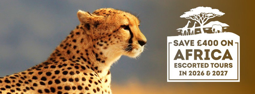 Save £400 on Africa Escorted Tours in 2026 and 2027