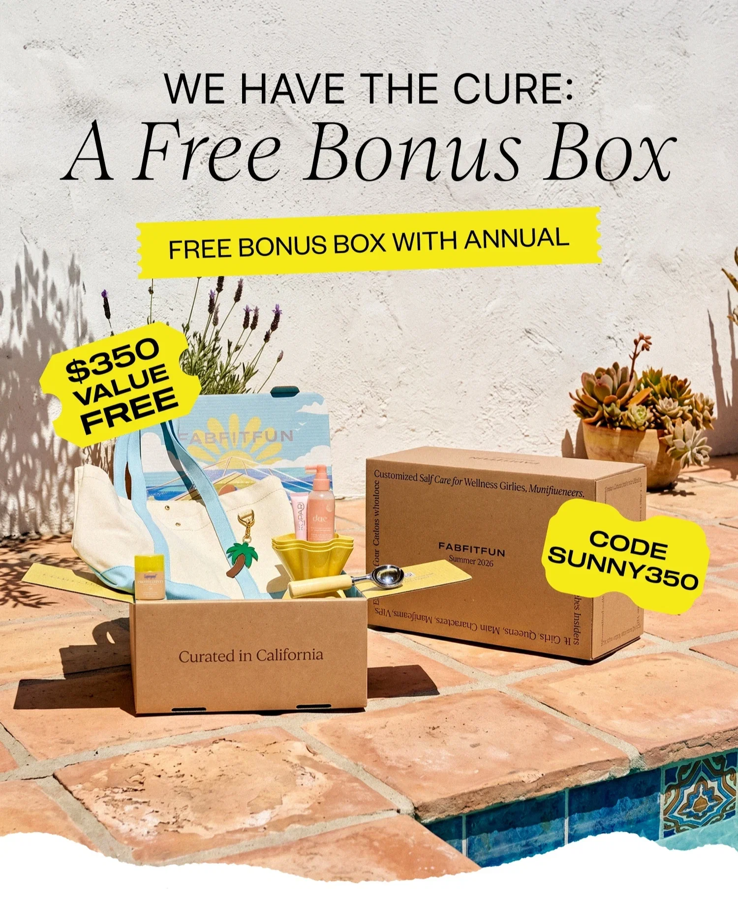 WE HAVE THE CURE: A Free Bonus Box | FREE BONUS BOX WITH ANNUAL