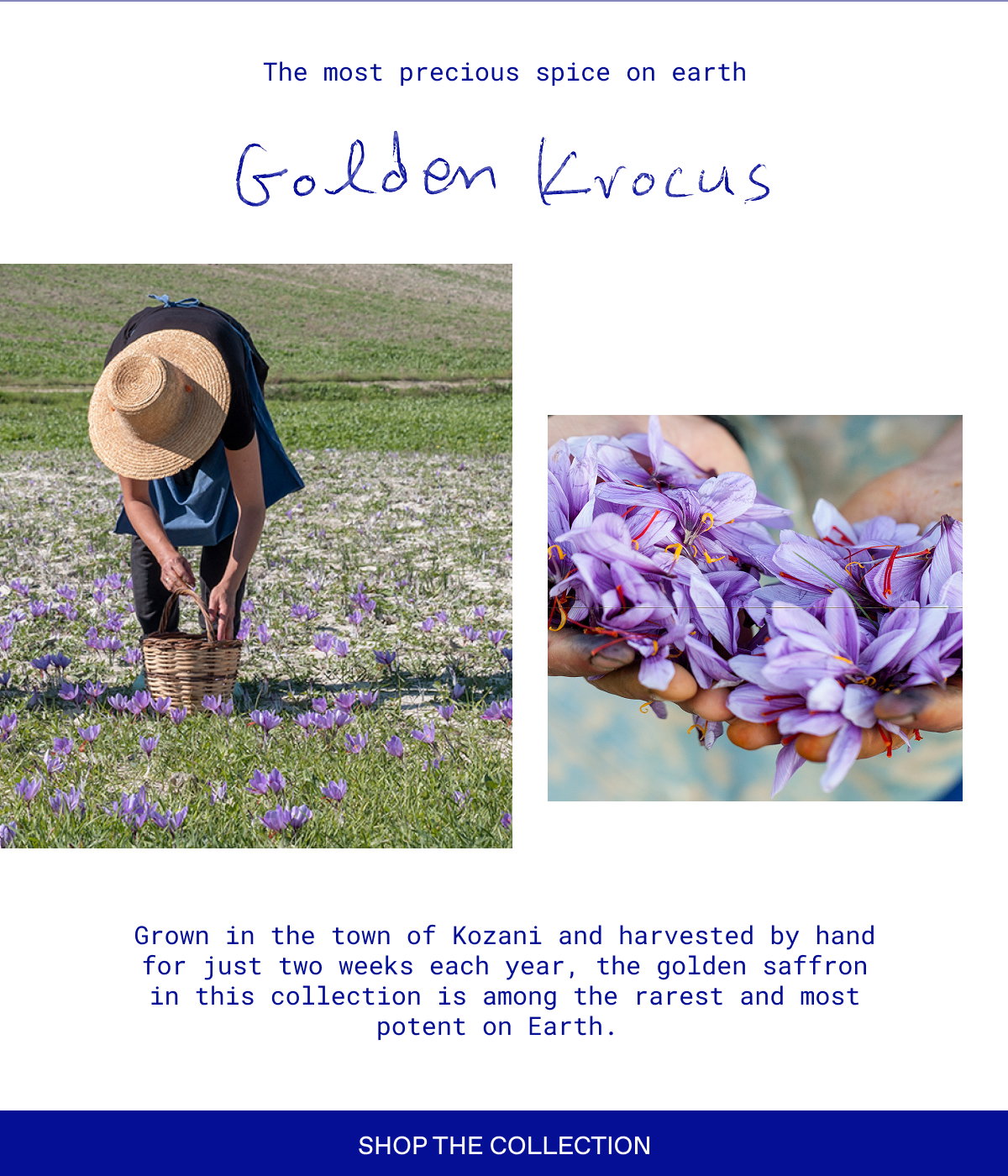 https://www.korres.com/collections/golden-krocus