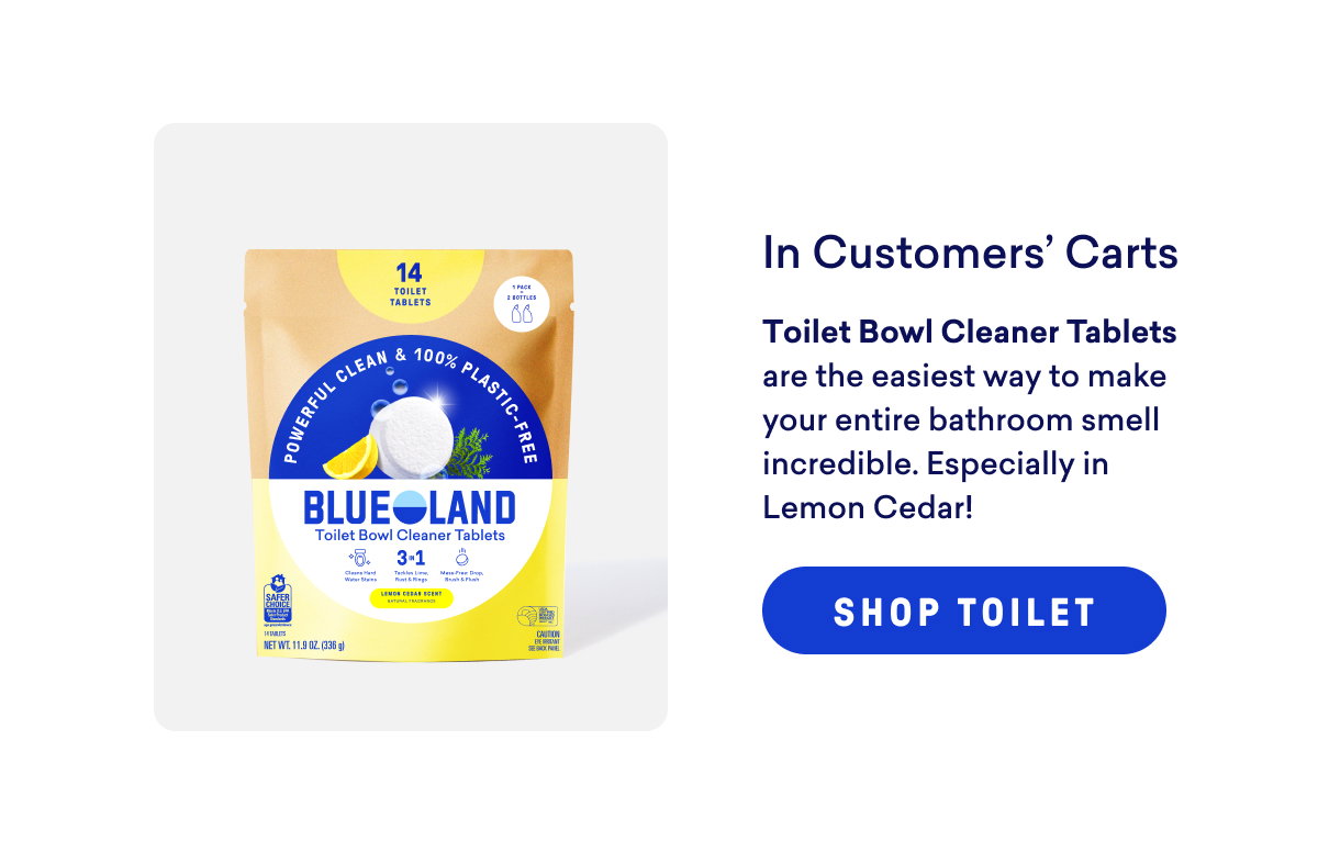 Shop Toilet Bowl Cleaner Tablets!