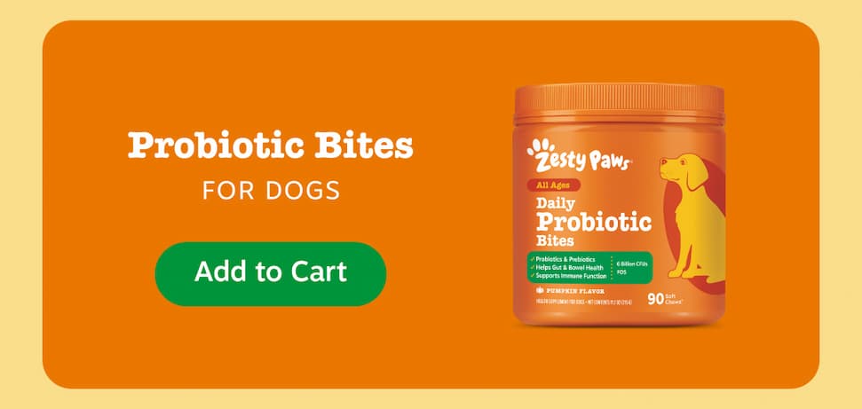 Probiotic Bites for Dogs: Add to Cart