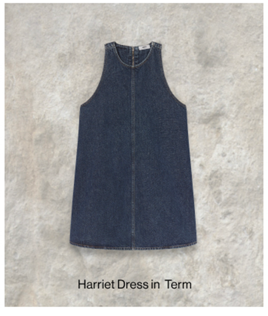 Harriet Dress in Term