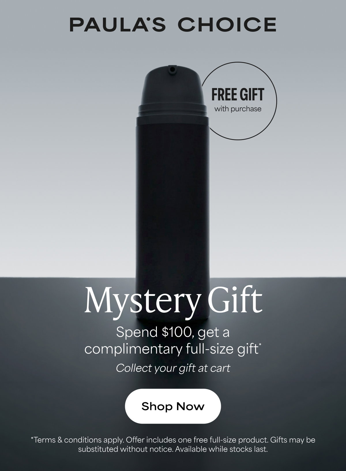 Mystery Gift | Spend $100, Get A Free Full-Size Gift