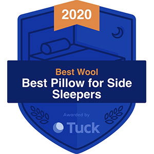 Best Pillow for Side Sleepers Award badge