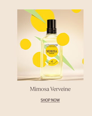 MIMOSA VERVEINE