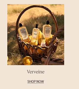 VERVEINE