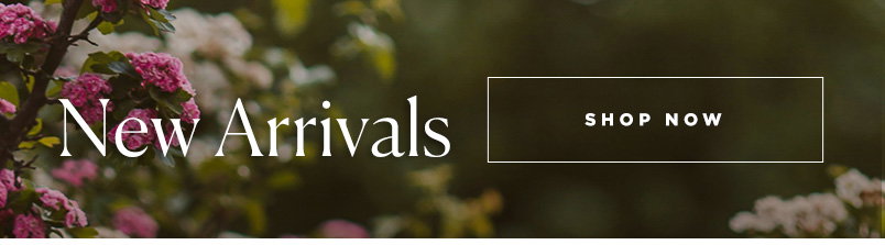 Women's Summer New Arrivals