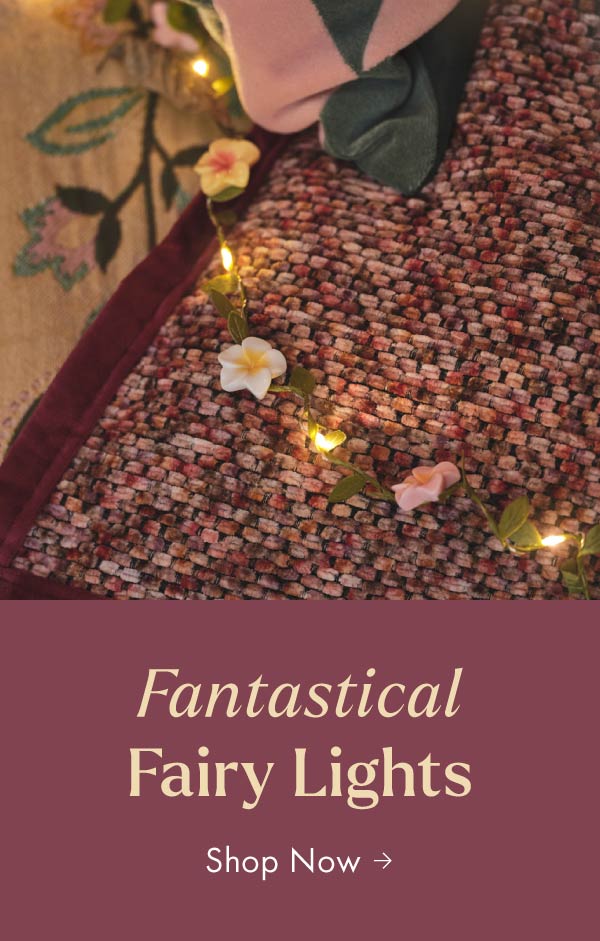 Fairy lights