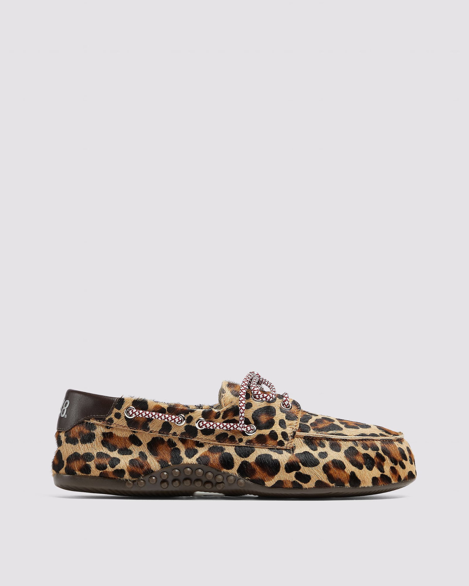 Antibes Leopard