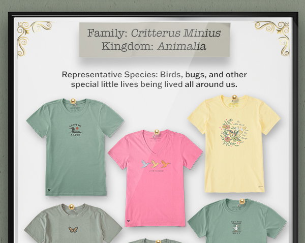 Shop animal and insect tees.