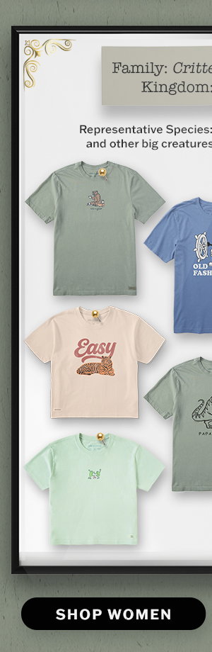Animal and insect tees for women.