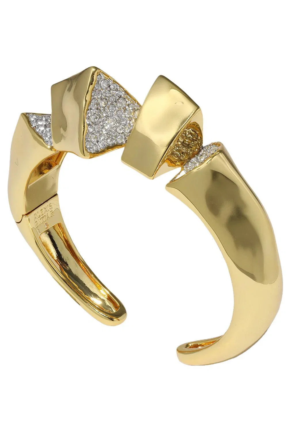 Image of alexis bittar
