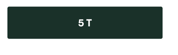 5T