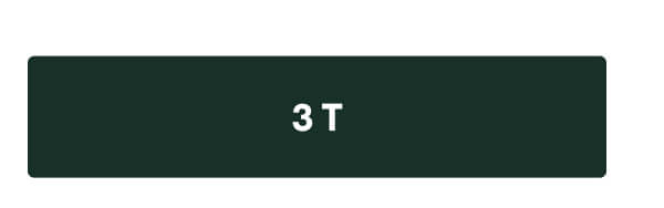 3T
