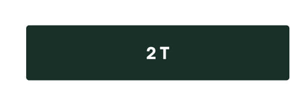 2T