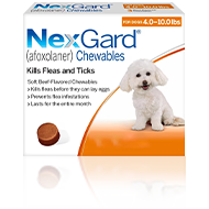 Nexgard