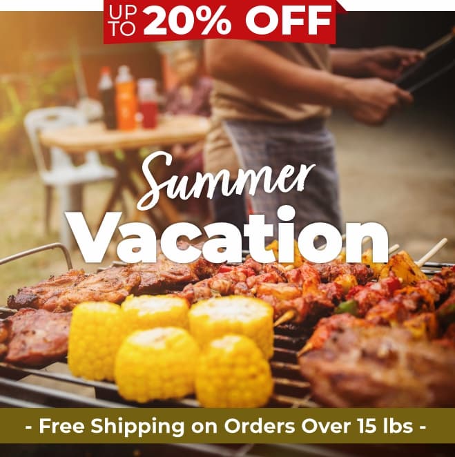 summer vacation specials