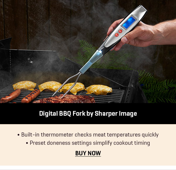 Digital BBQ Fork by Sharper Image