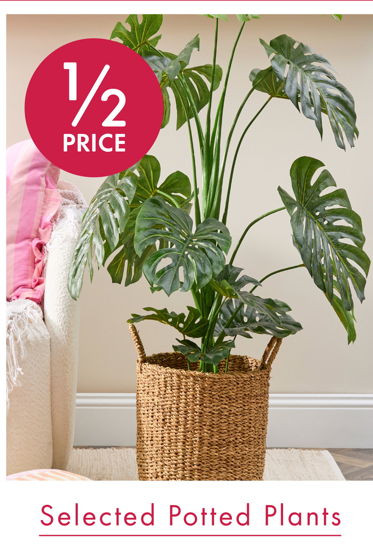 1/2 Price Selected Potted Plants