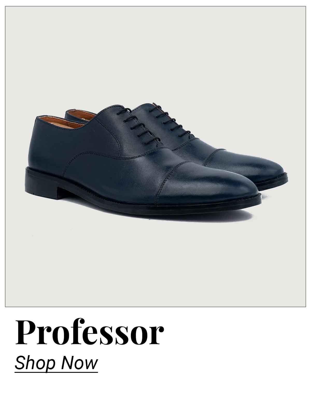 Professor