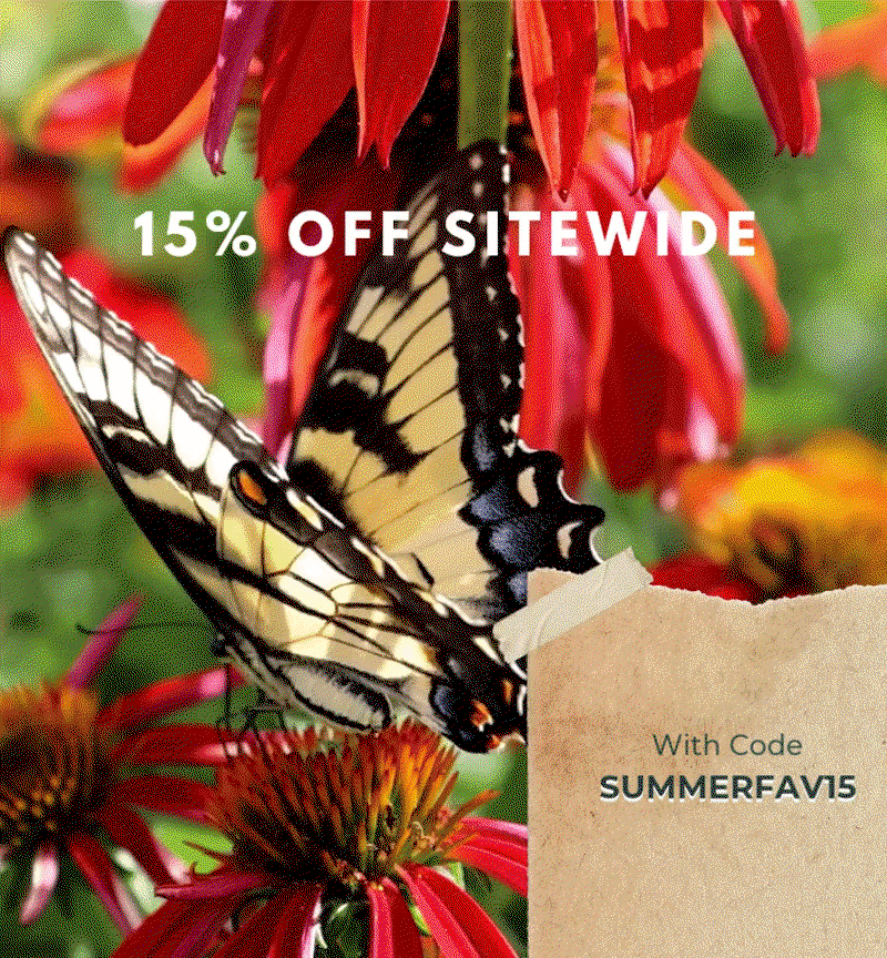15% OFF SITEWIDE WITH CODE SUMMERFAV15
