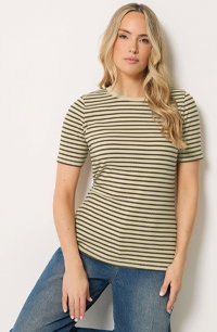 LTS Tall Chocolate Brown Stripe Cotton Ribbed T-Shirt