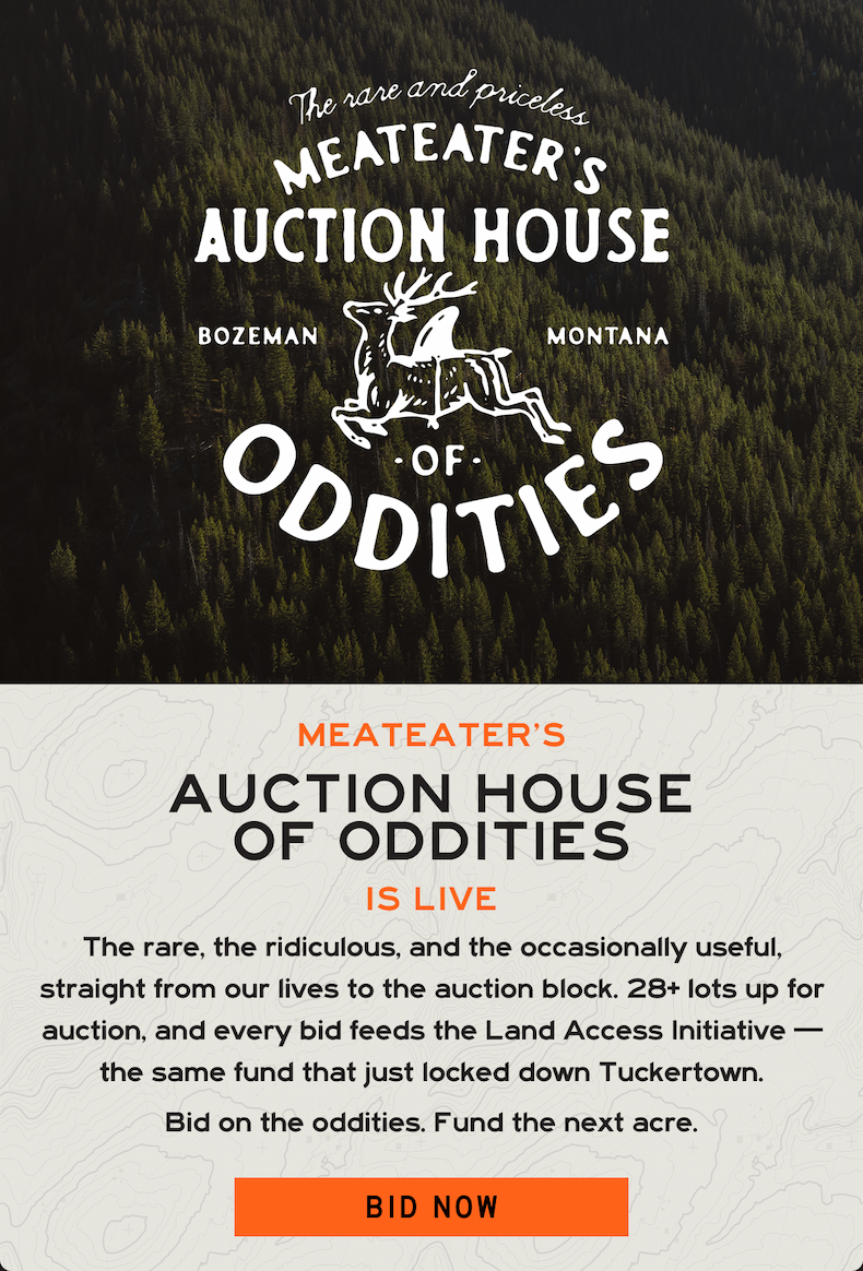 Auction House of Oddities is Live: Bid now!