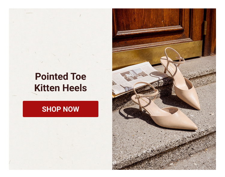 Pointed Toe Kitten Heels