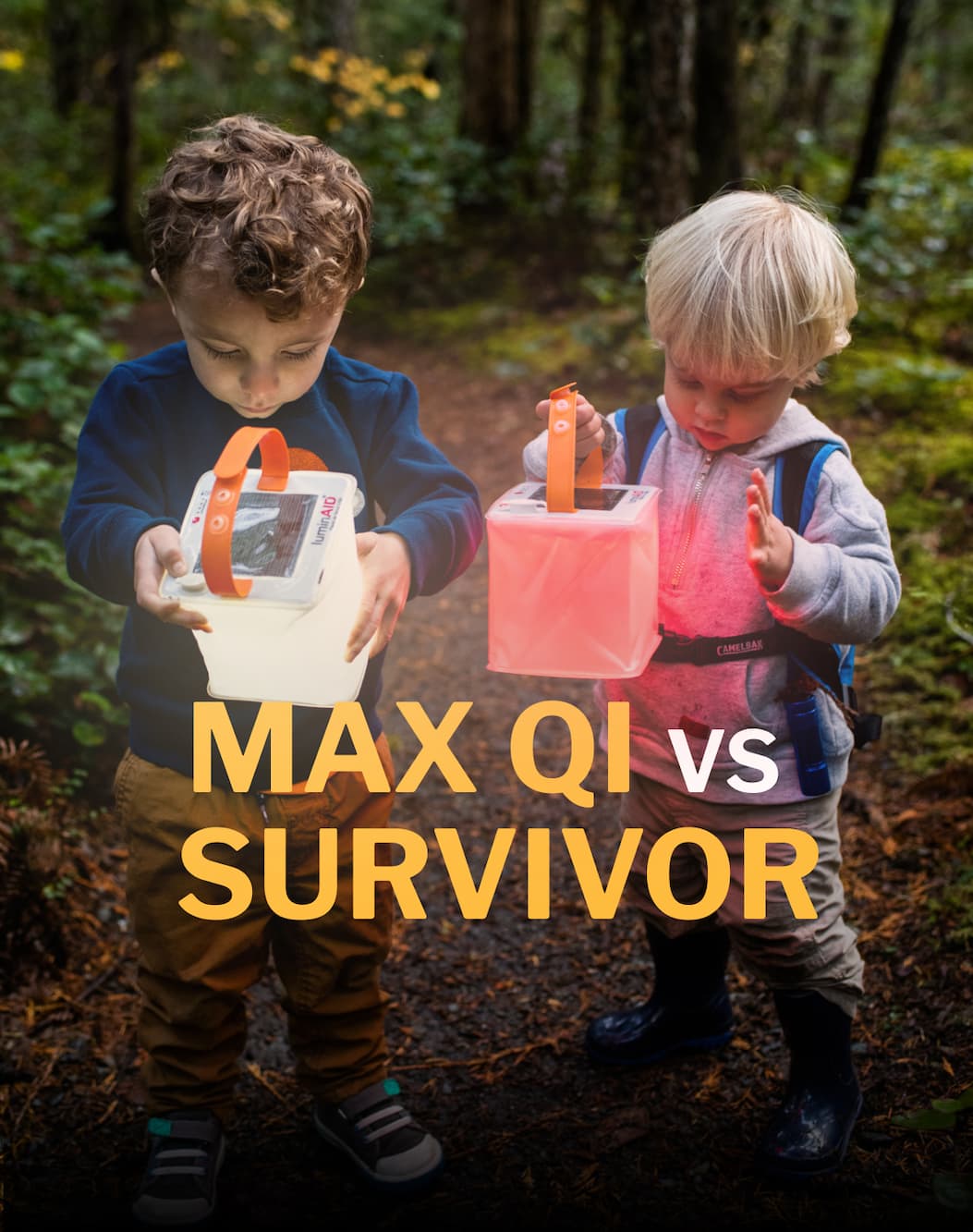 MAX QI vs Survivor