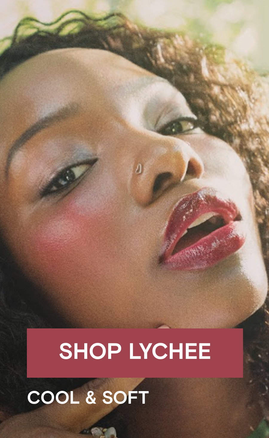 Shop Lychee