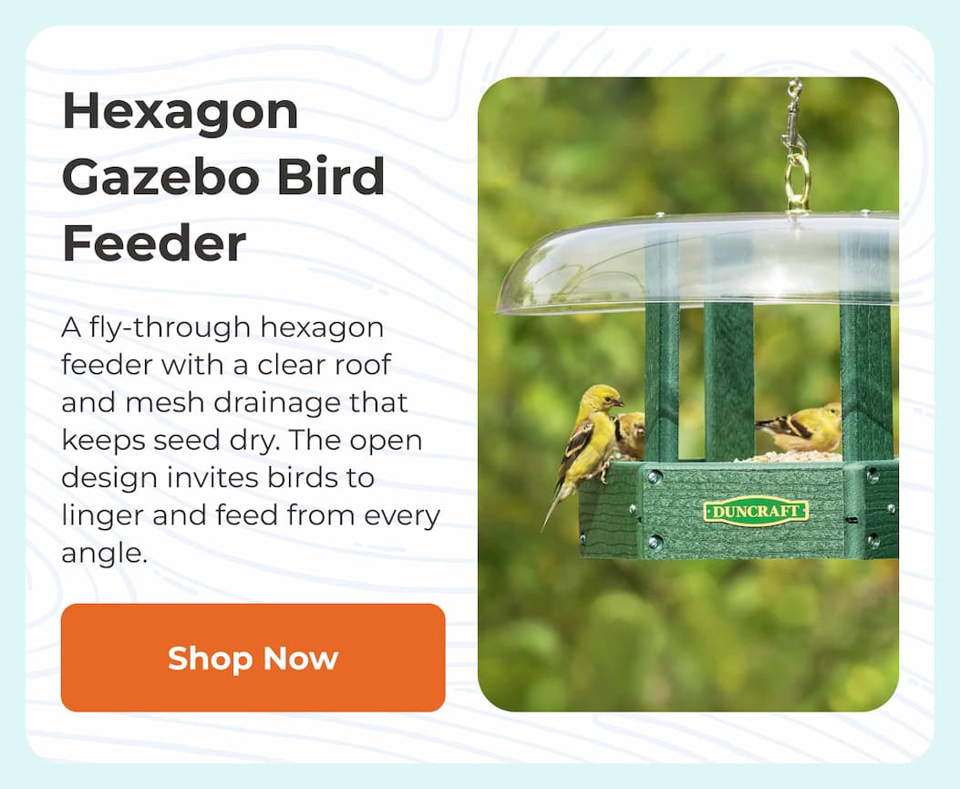 Hexagon Gazebo Bird Feeder
