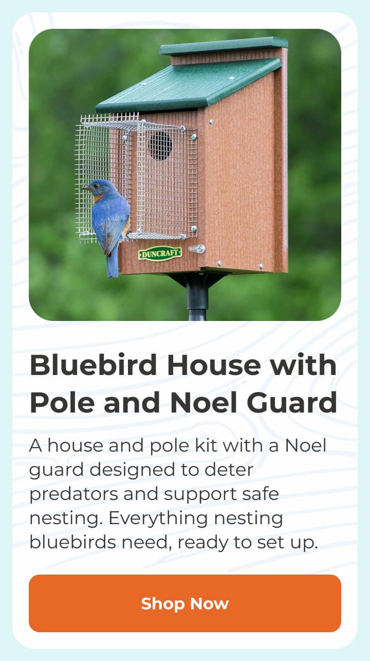 Bluebird House with Pole and Noel Guard