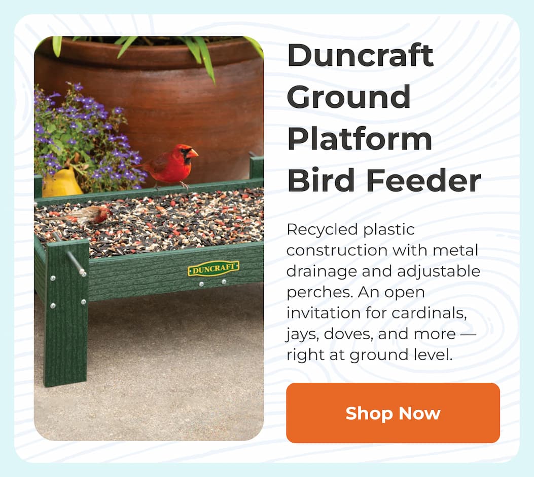 Duncraft Ground Platform Bird Feeder