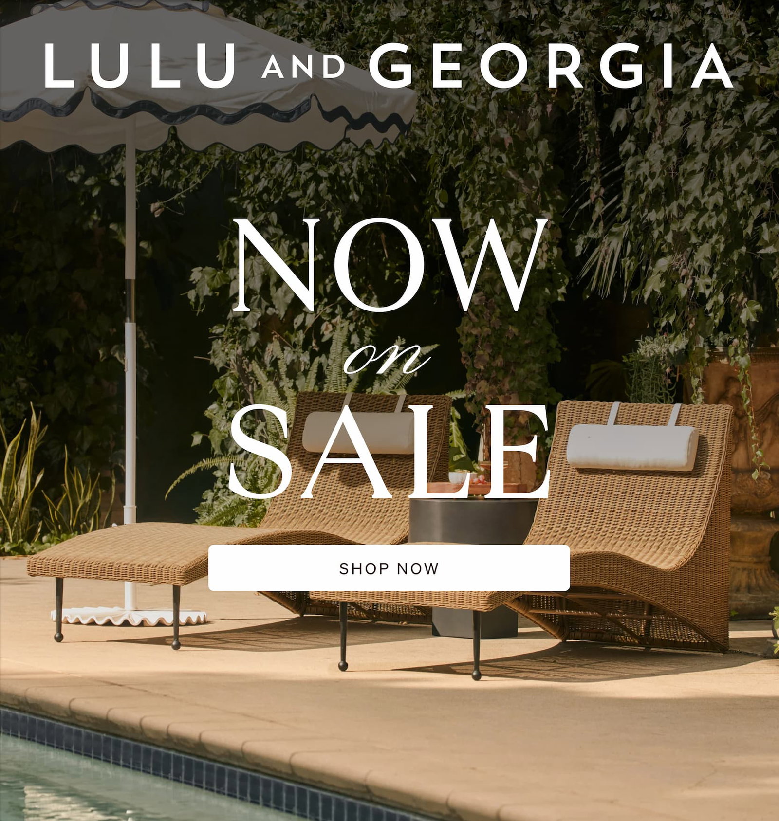 Shop Markdowns