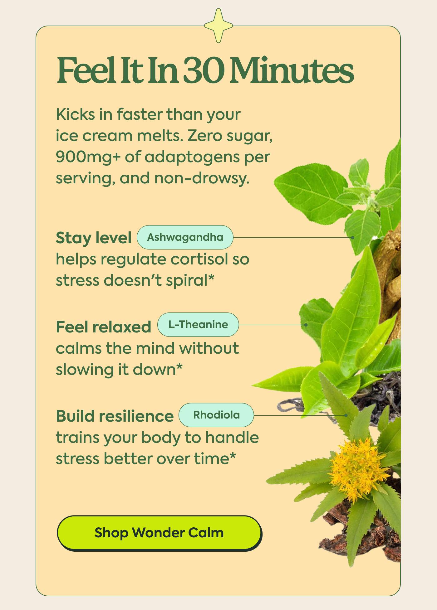Feel It In 30 Minutes. Kicks in faster than your ice cream melts. Zero sugar, 900mg+ of adaptogens per serving, and non-drowsy. Stay level: Ashwagandha helps regulate cortisol so stress doesn't spiral* Feel relaxed: L-Theanine calms the mind without slowing it down* Build resilience: Rhodiola trains your body to handle stress better over time* | Shop WonderCalm