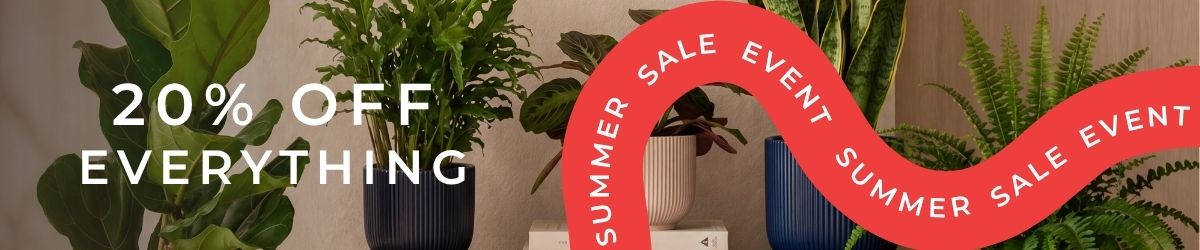 summer sale event