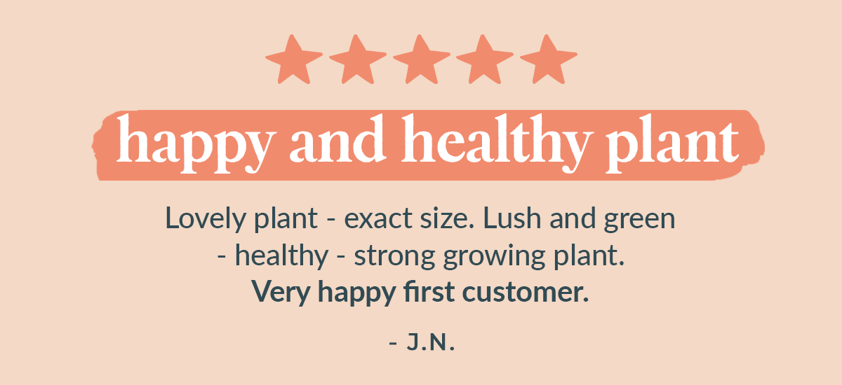 reviews
