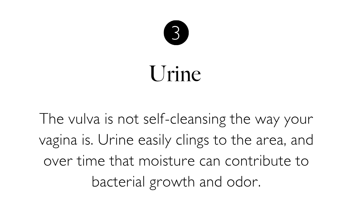 3. Urine. The vulva is not self-cleansing the way your vagina is. Urine easily clings to the area, and over time that moisture can contribute to bacterial growth and odor.