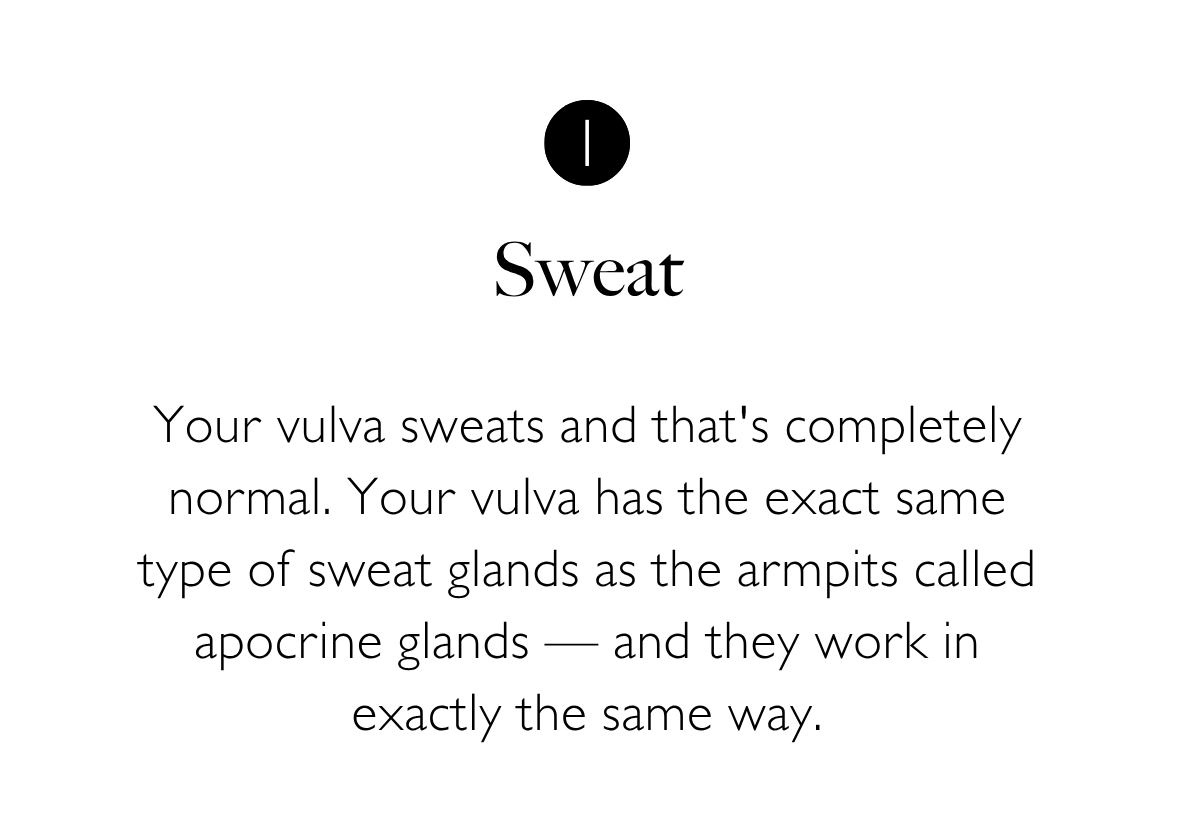 1. Sweat. Your vulva sweats and that's completely normal. Your vulva has the exact same type of sweat glands as the armpits called apocrine glands — and they work in exactly the same way.