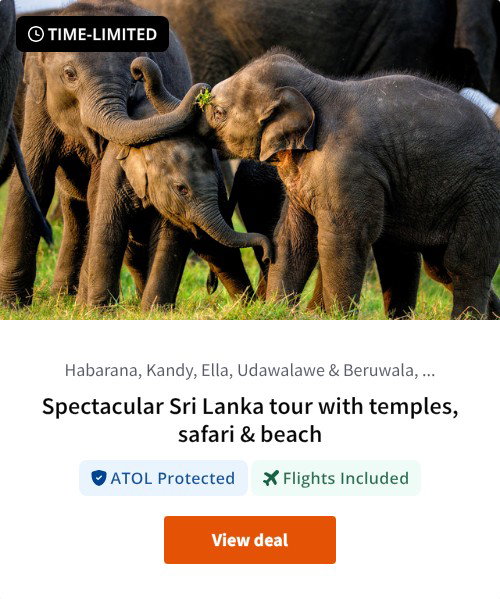 Spectacular Sri Lanka tour with temples, safari &amp; beach
