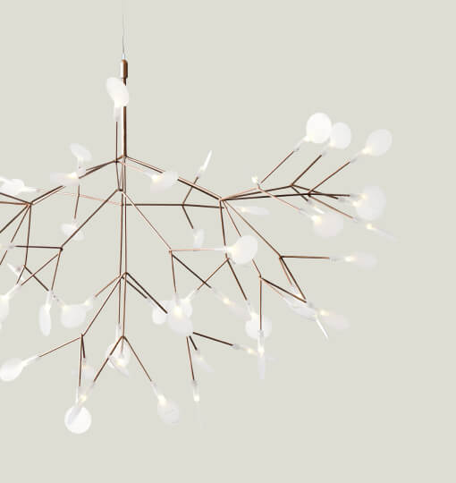 Heracleum III Chandelier